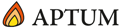 partner_aptum